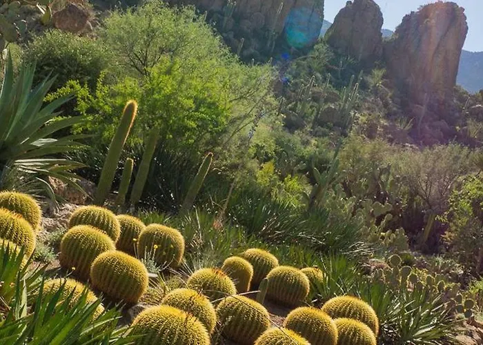 Hacienda La Noria * Gold Canyon